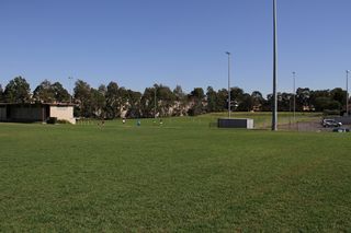 IMG_7136 IMG_7136