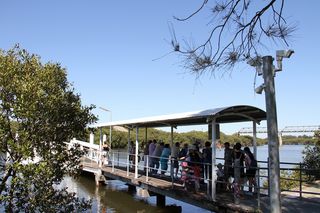 IMG_7153 IMG_7153