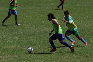 IMG_7175 IMG_7175